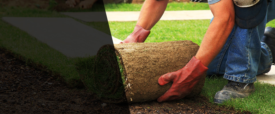 Bon Aqua Landscapers